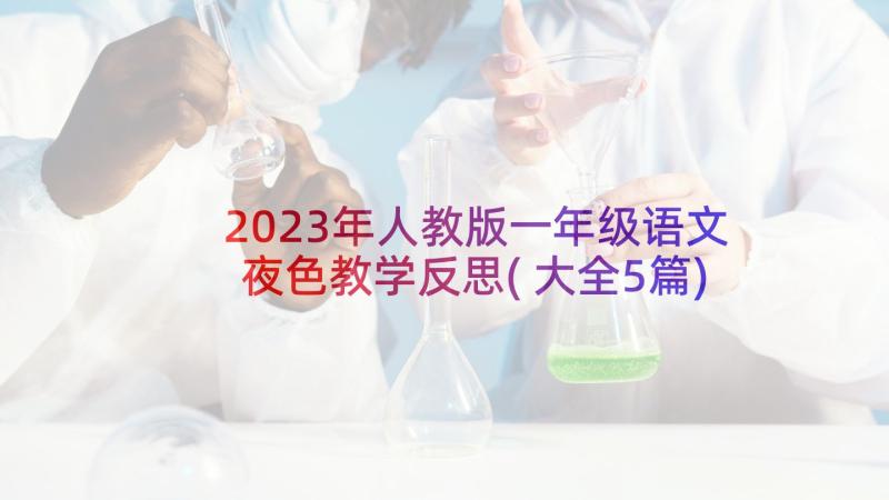 2023年人教版一年级语文夜色教学反思(大全5篇)