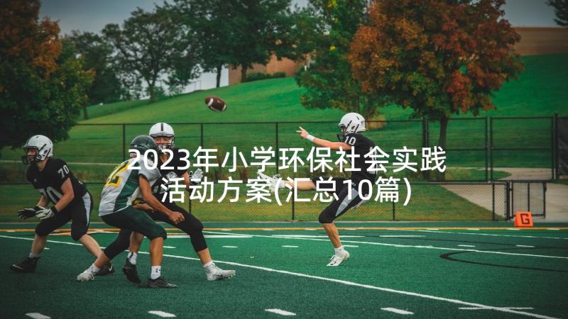 2023年小学环保社会实践活动方案(汇总10篇)