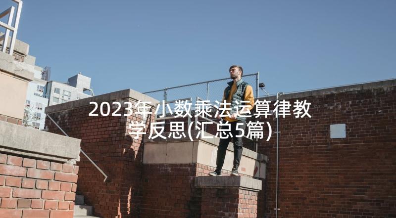 2023年小数乘法运算律教学反思(汇总5篇)