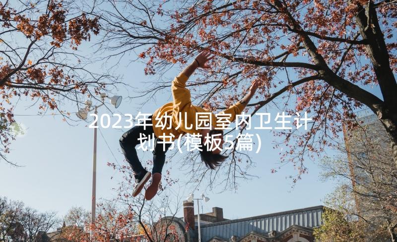 2023年幼儿园室内卫生计划书(模板5篇)