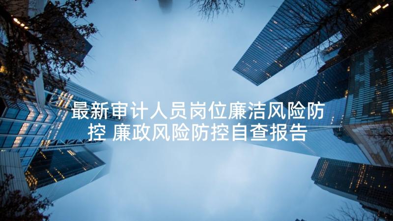 最新审计人员岗位廉洁风险防控 廉政风险防控自查报告(优质9篇)