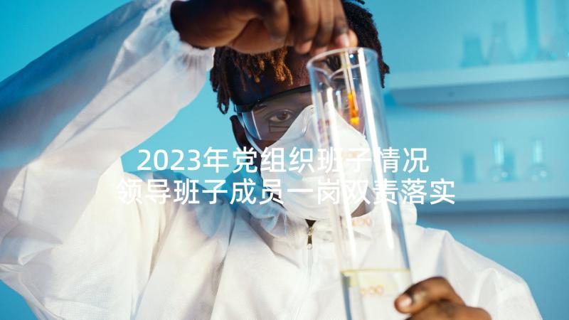 2023年党组织班子情况 领导班子成员一岗双责落实情况报告(通用5篇)