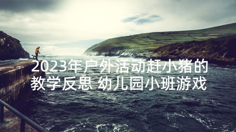 2023年户外活动赶小猪的教学反思 幼儿园小班游戏教案及教学反思赶小猪(通用5篇)