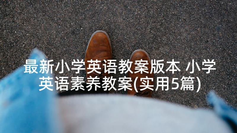 最新小学英语教案版本 小学英语素养教案(实用5篇)