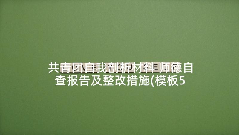 共青团自我剖析材料 师德自查报告及整改措施(模板5篇)