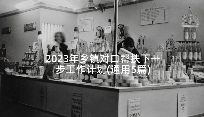 2023年乡镇对口帮扶下一步工作计划(通用5篇)