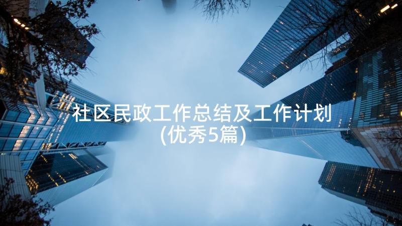 社区民政工作总结及工作计划(优秀5篇)