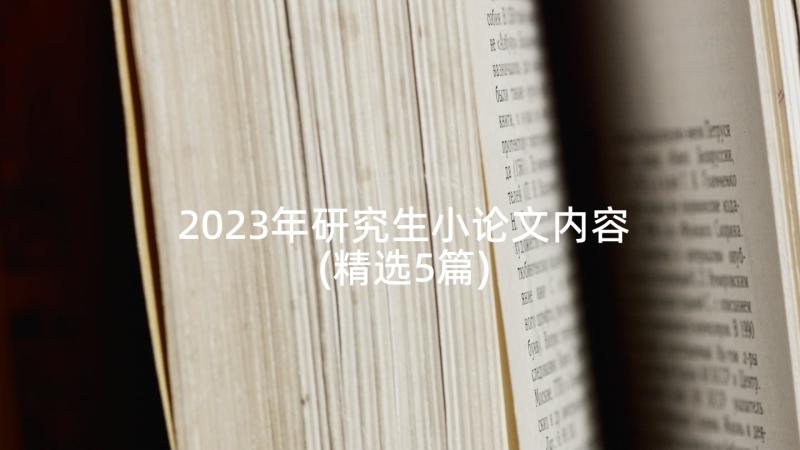 2023年研究生小论文内容(精选5篇)