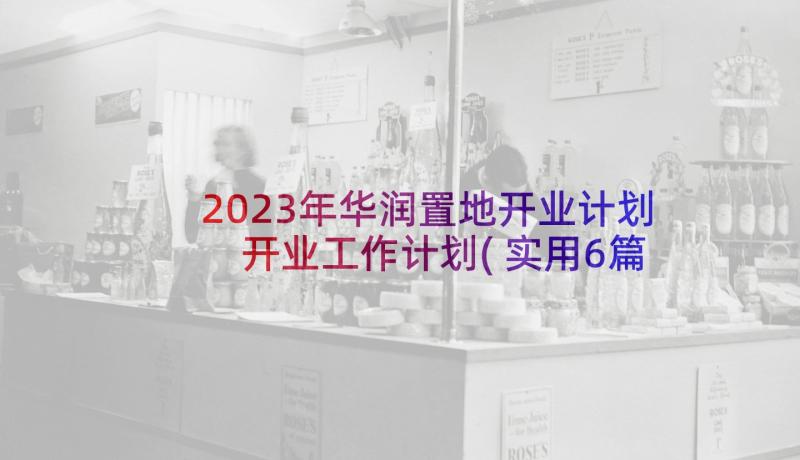 2023年华润置地开业计划 开业工作计划(实用6篇)