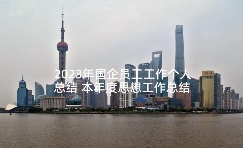 2023年国企员工工作个人总结 本年度思想工作总结事业(模板6篇)