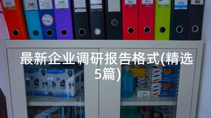 最新企业调研报告格式(精选5篇)