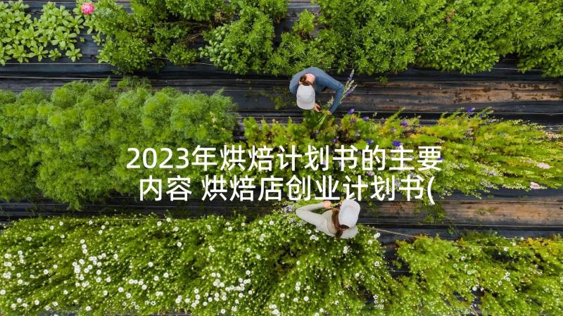 2023年烘焙计划书的主要内容 烘焙店创业计划书(大全5篇)