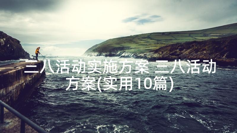 三八活动实施方案 三八活动方案(实用10篇)