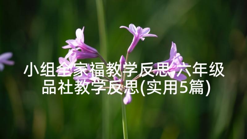 小组全家福教学反思 六年级品社教学反思(实用5篇)