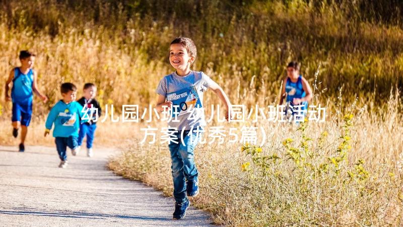 幼儿园小班 幼儿园小班活动方案(优秀5篇)