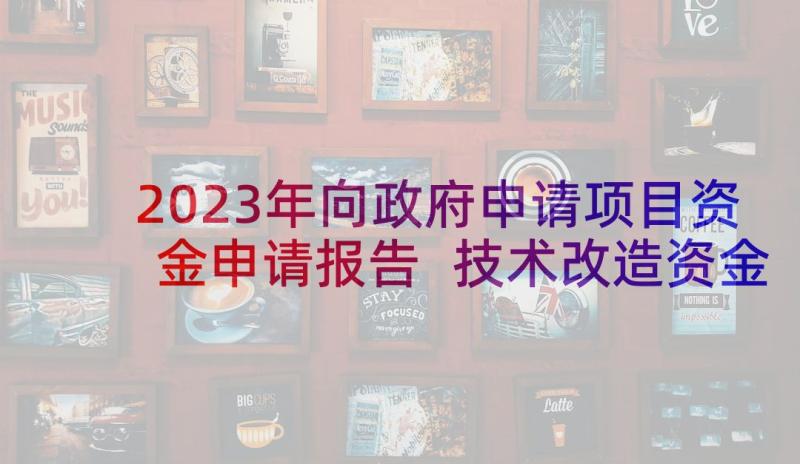 2023年向政府申请项目资金申请报告 技术改造资金项目申请报告(汇总5篇)