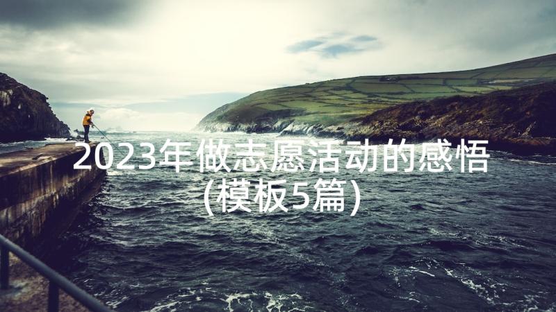 2023年做志愿活动的感悟(模板5篇)