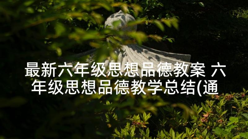 最新六年级思想品德教案 六年级思想品德教学总结(通用6篇)