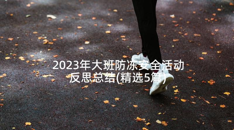 2023年大班防冻安全活动反思总结(精选5篇)