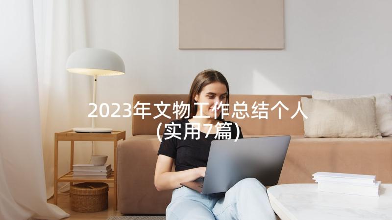 2023年文物工作总结个人(实用7篇)