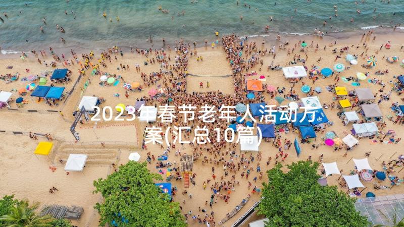 2023年春节老年人活动方案(汇总10篇)