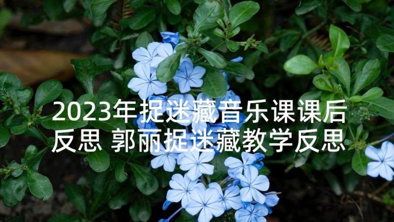 2023年捉迷藏音乐课课后反思 郭丽捉迷藏教学反思(汇总5篇)