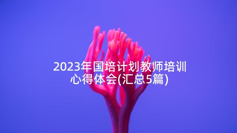 2023年国培计划教师培训心得体会(汇总5篇)