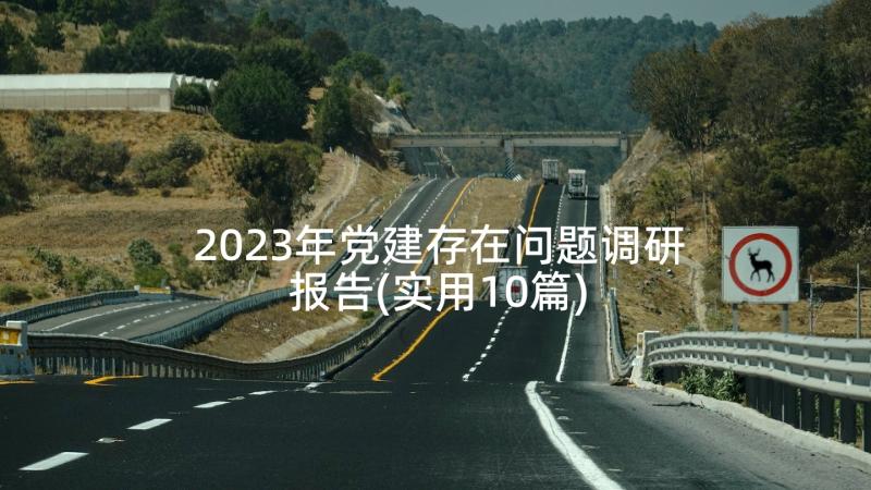 2023年党建存在问题调研报告(实用10篇)