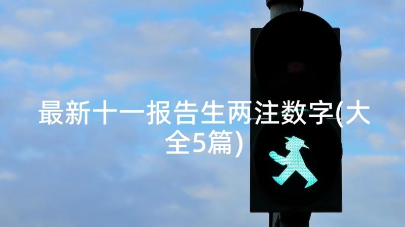 最新十一报告生两注数字(大全5篇)