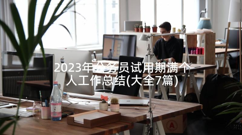 2023年公务员试用期满个人工作总结(大全7篇)