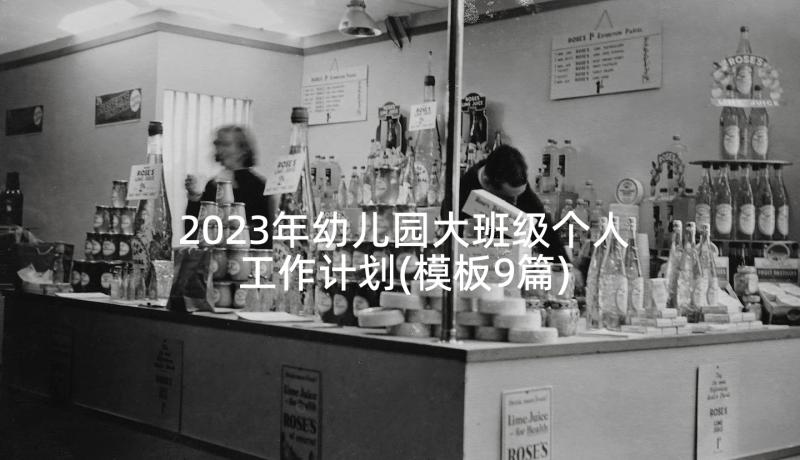 2023年幼儿园大班级个人工作计划(模板9篇)