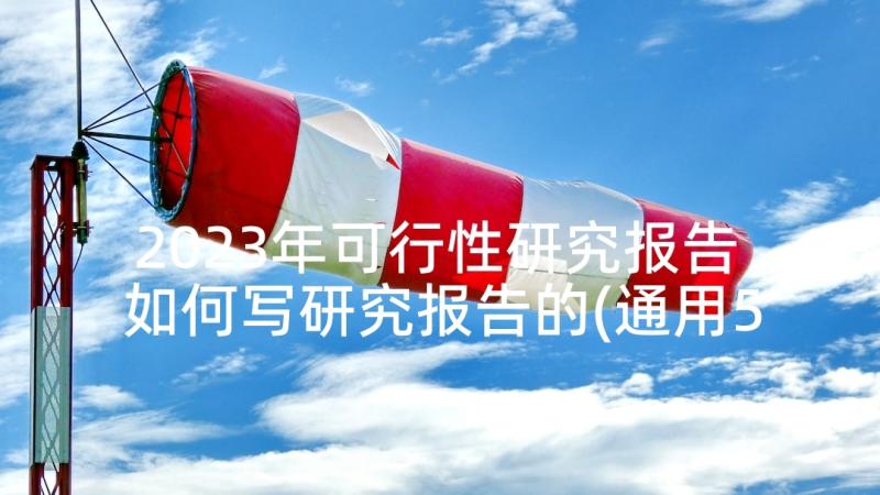 2023年可行性研究报告 如何写研究报告的(通用5篇)