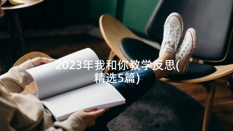 2023年我和你教学反思(精选5篇)