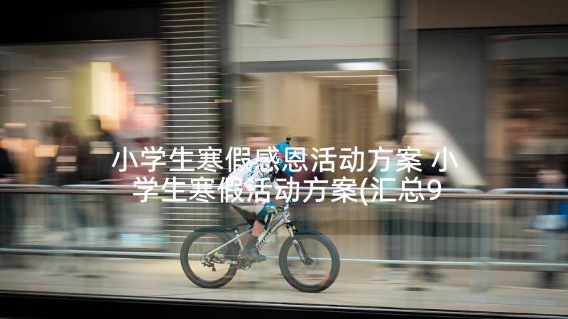 小学生寒假感恩活动方案 小学生寒假活动方案(汇总9篇)