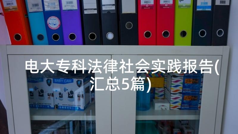 电大专科法律社会实践报告(汇总5篇)