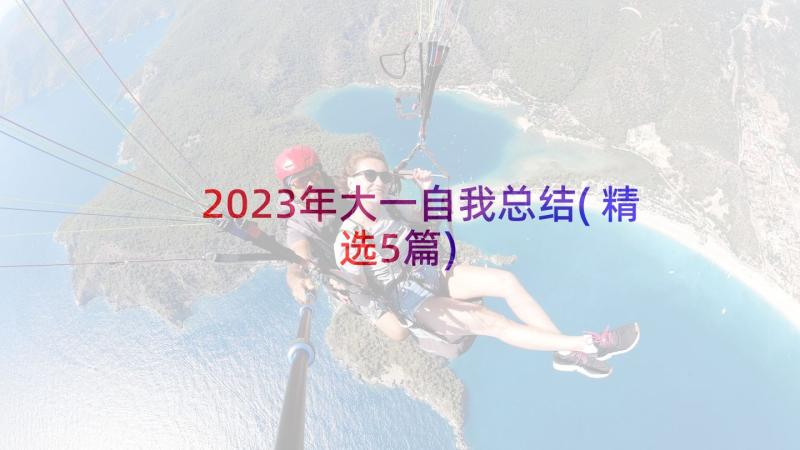 2023年大一自我总结(精选5篇)