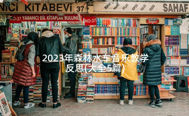 2023年森林水车音乐教学反思(大全5篇)