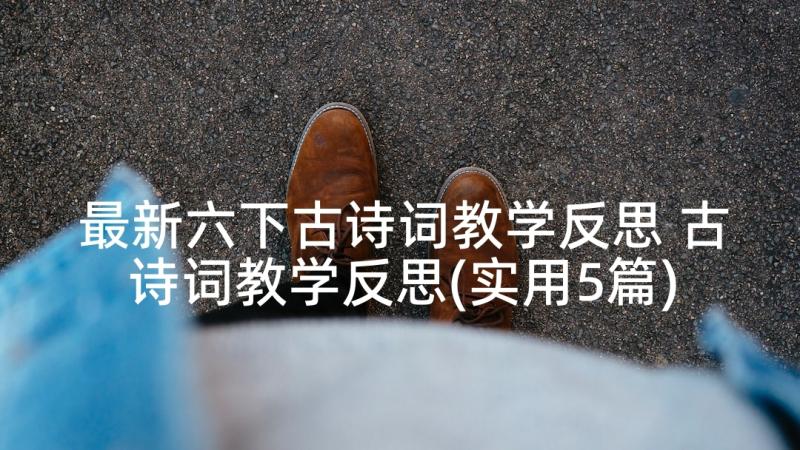 最新六下古诗词教学反思 古诗词教学反思(实用5篇)