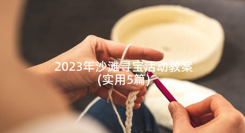 2023年沙滩寻宝活动教案(实用5篇)