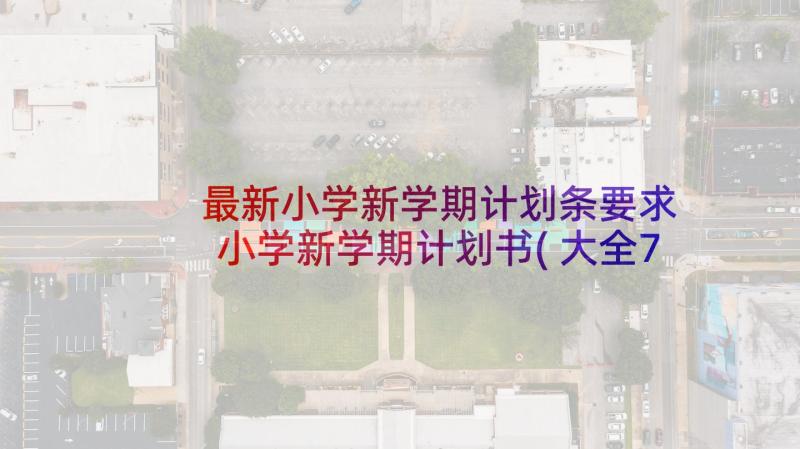 最新小学新学期计划条要求 小学新学期计划书(大全7篇)