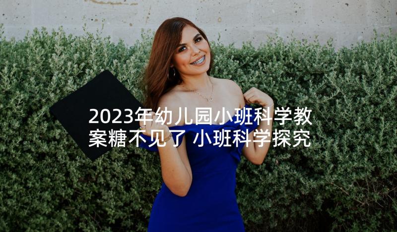 2023年幼儿园小班科学教案糖不见了 小班科学探究活动教案(模板7篇)