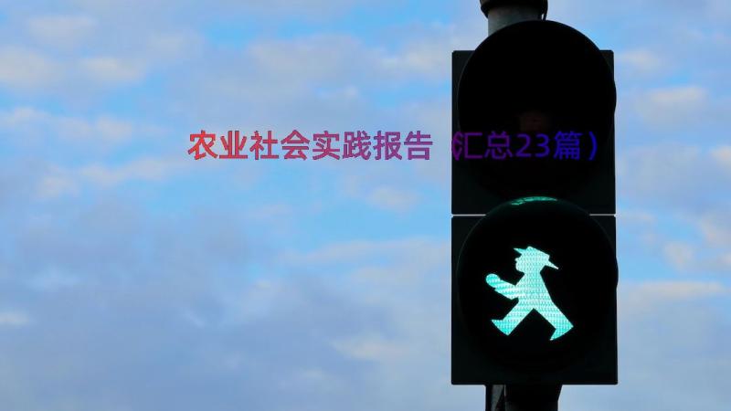 农业社会实践报告（汇总23篇）