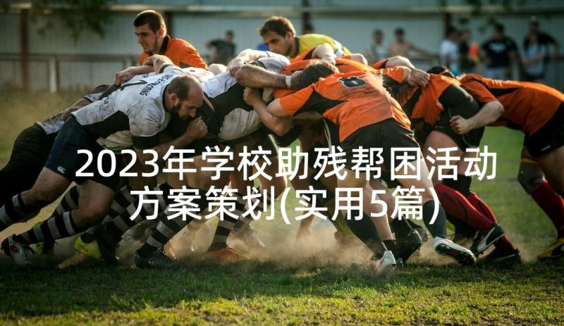 2023年学校助残帮困活动方案策划(实用5篇)