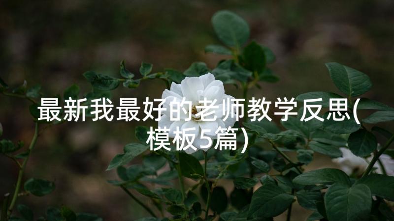 最新我最好的老师教学反思(模板5篇)