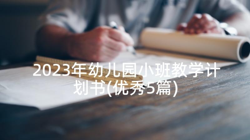 2023年幼儿园小班教学计划书(优秀5篇)