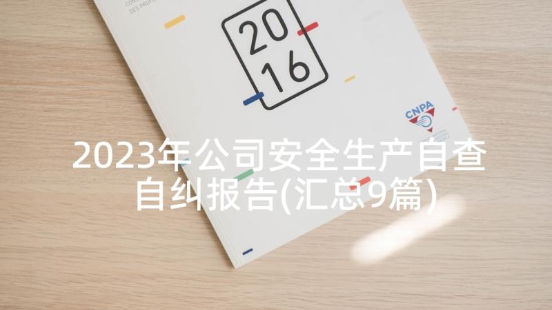 2023年公司安全生产自查自纠报告(汇总9篇)