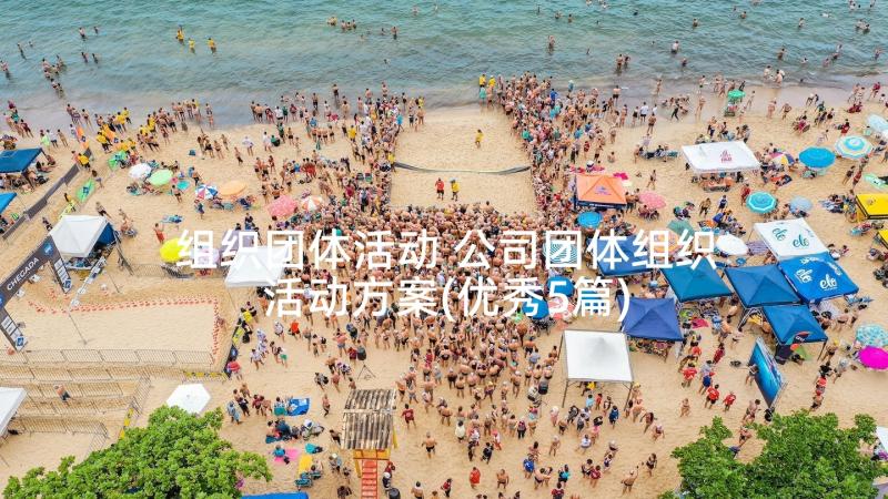 组织团体活动 公司团体组织活动方案(优秀5篇)