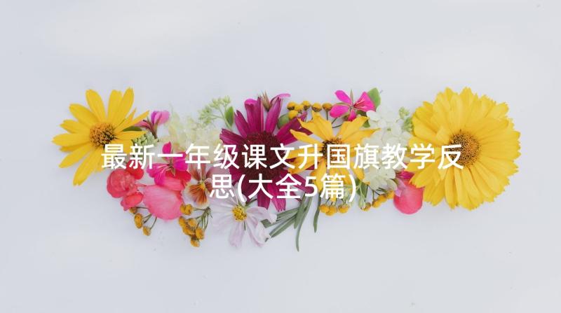 最新一年级课文升国旗教学反思(大全5篇)