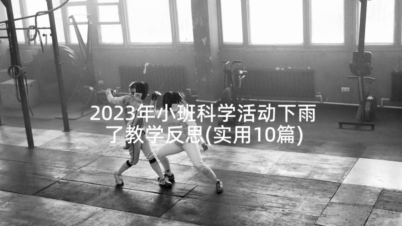 2023年小班科学活动下雨了教学反思(实用10篇)