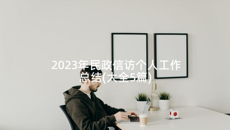 2023年民政信访个人工作总结(大全5篇)